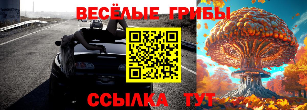 Галлюциногенные грибы мухоморы Дербент