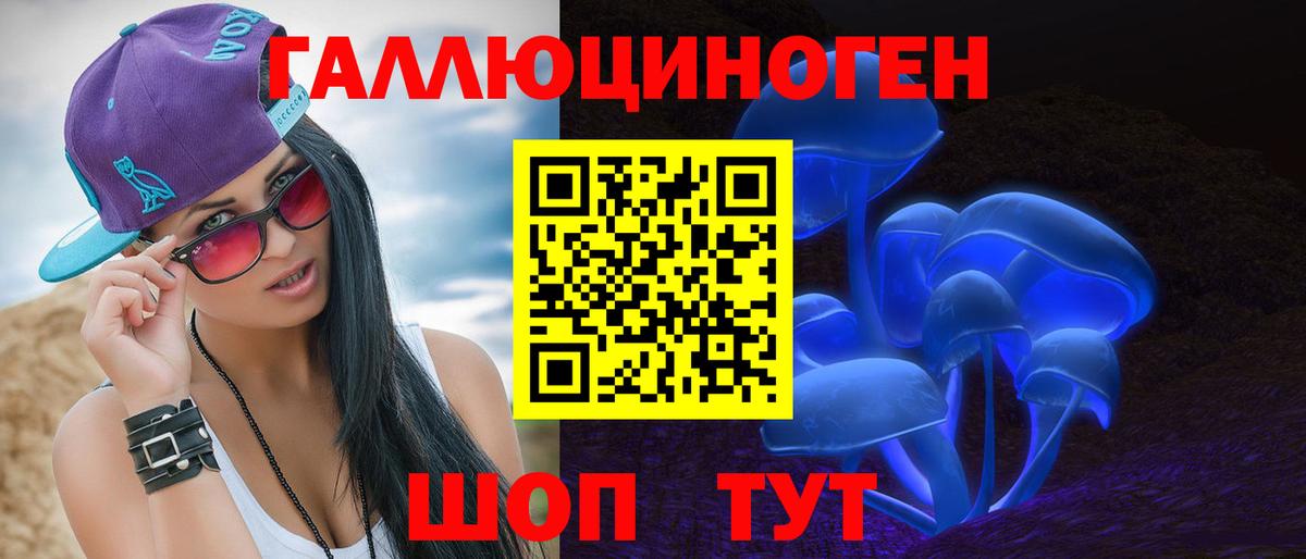 Дербент  Псилоцибиновые грибы Cubensis  Вход с VPN 